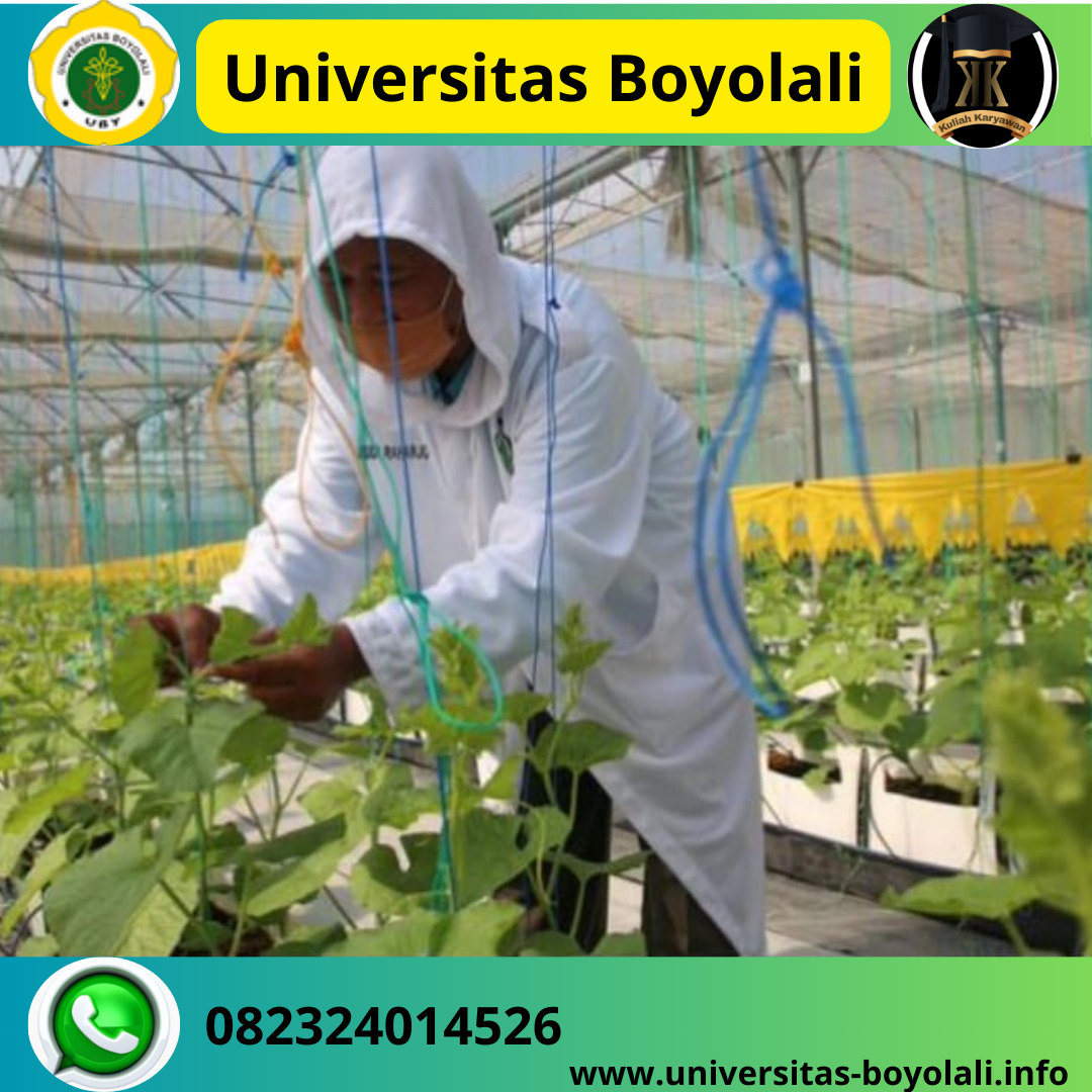 Karir Lulusan S1 Agroteknologi Universitas Boyolali