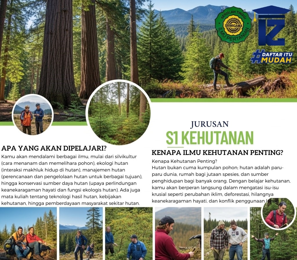 S1 Kehutanan STIPER Sriwigama: Jurusan Penting untuk Masa Depan Alam