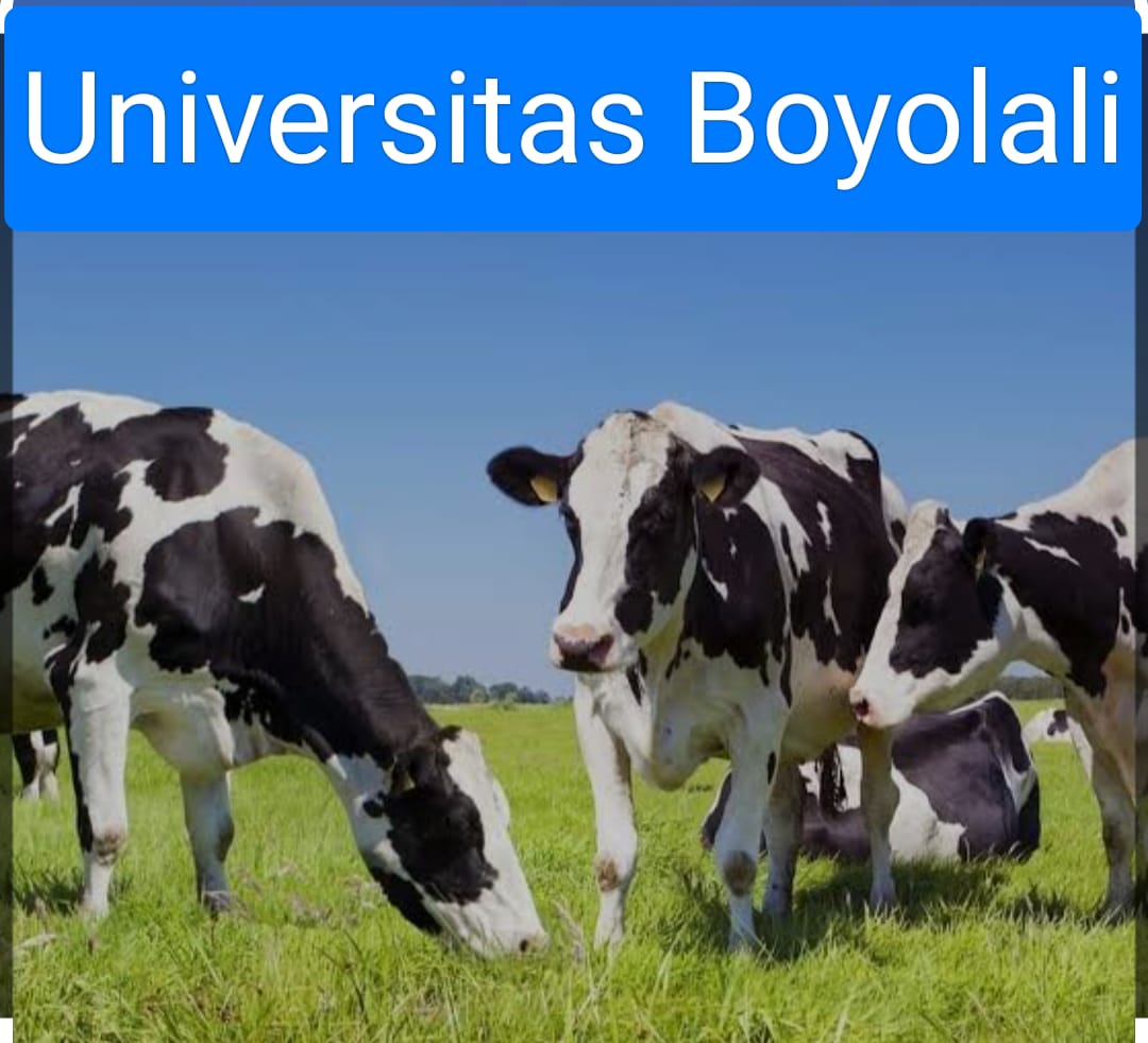 Kopetensi Kuliah Karyawan Prodi Peternakan di Universitas Boyolali